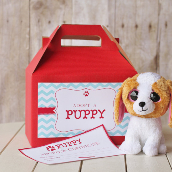 puppy adoption box